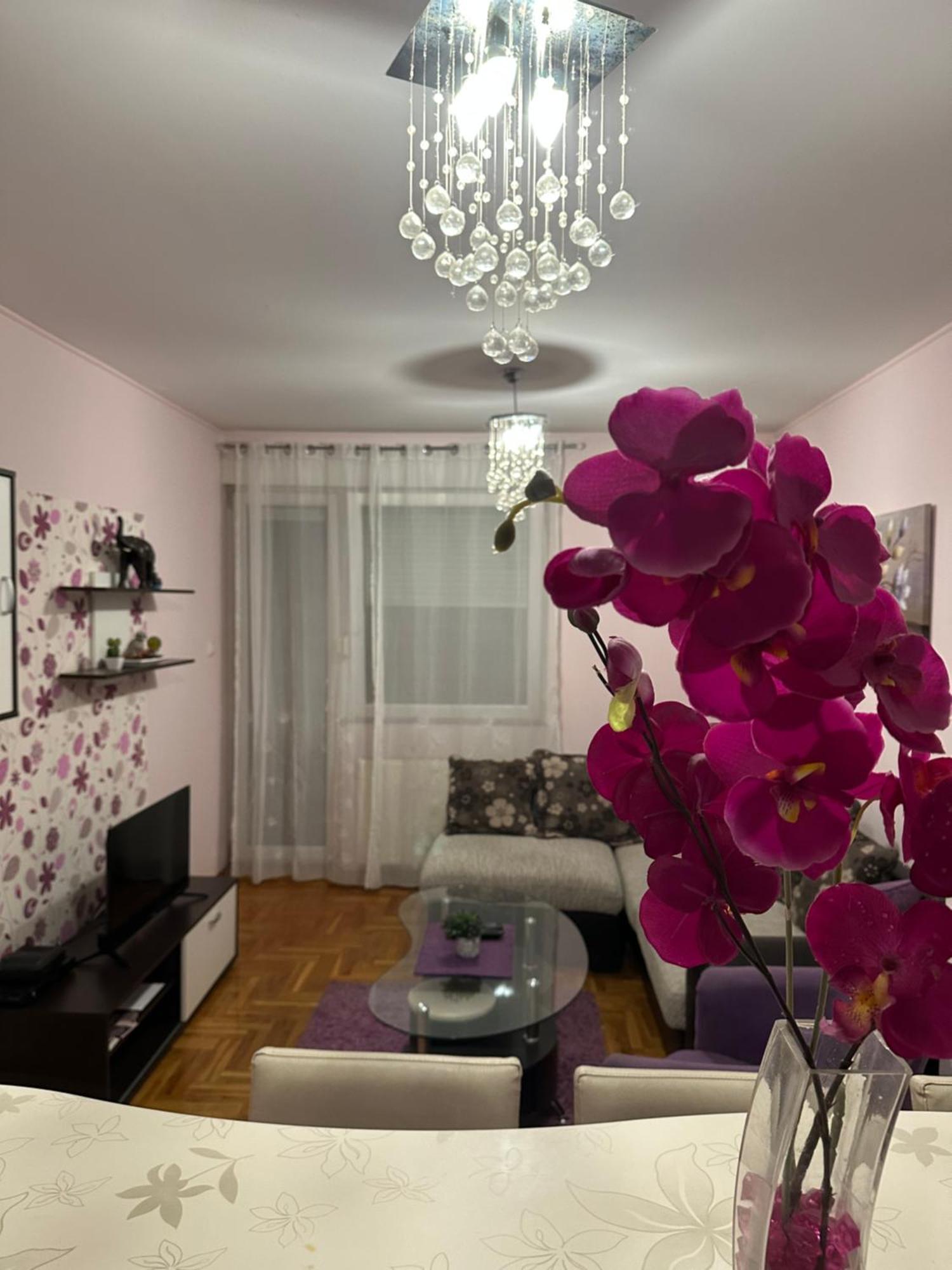 Apartman Ivana Lägenhet Novi Sad Exteriör bild