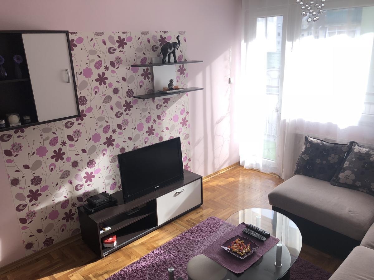 Apartman Ivana Lägenhet Novi Sad Exteriör bild
