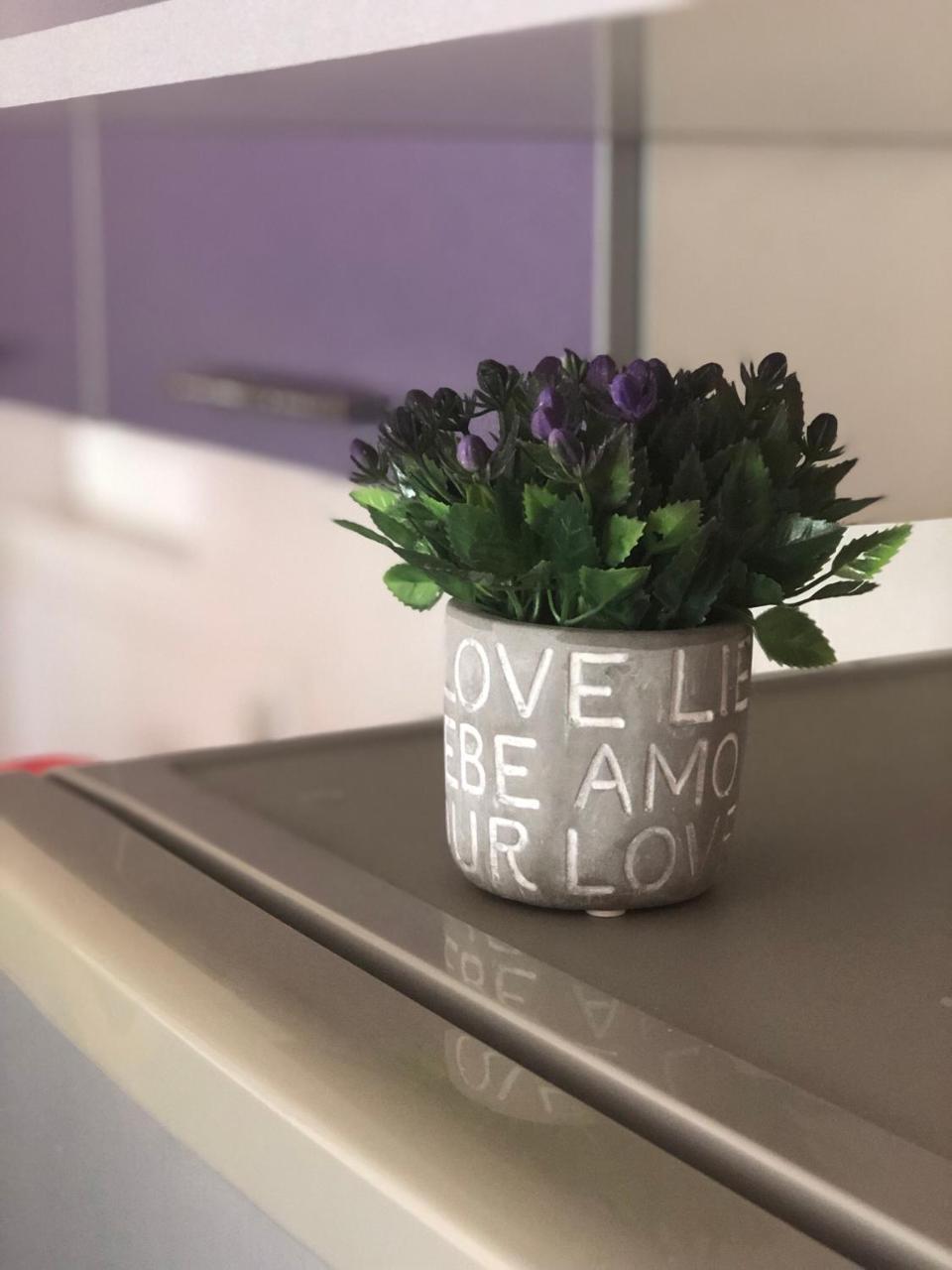 Apartman Ivana Lägenhet Novi Sad Exteriör bild